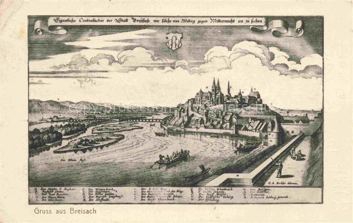 Breisach Rhein BW Panorama Kuenstlerkarte