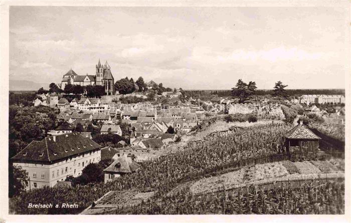 Breisach Rhein BW Panorama mit Muenster
