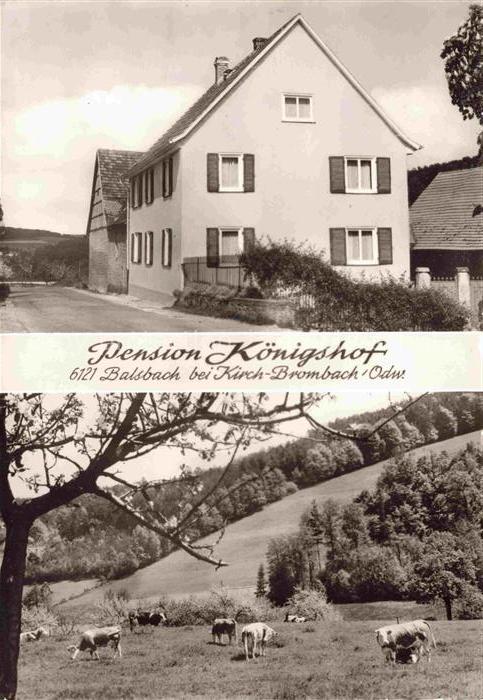Balsbach Limbach Neckar-Odenwald-Kreis BW Pension Koenigshof Rinderherde