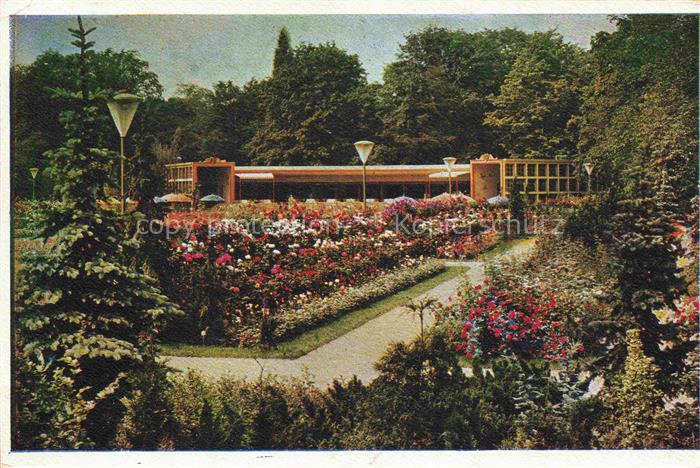 Reichsgartenschau 1937 Jahresschau DRESDEN Rosengarten Schmetterling