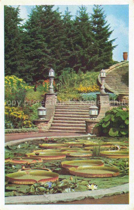 Reichsgartenschau 1938 EssEN Wasserbecken