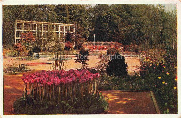 Reichsgartenschau 1936 Jahresschau DRESDEN Rosen Neuheiten Hof