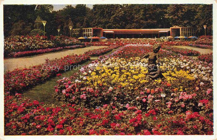 Reichsgartenschau 1936 Jahresschau DRESDEN Rosengarten Schmetterling