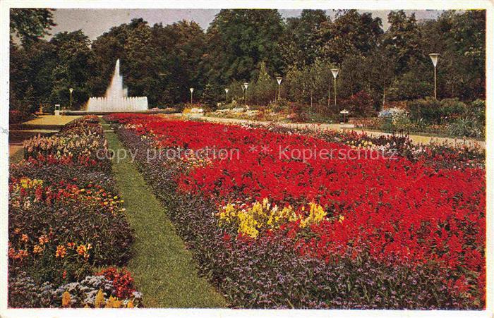 Reichsgartenschau 1937 Jahresschau DRESDEN Blumenparterre Leuchtfontaene