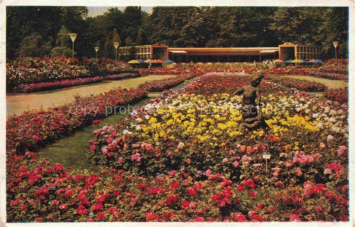 Reichsgartenschau 1936 Jahresschau DRESDEN Rosengarten Schmetterling