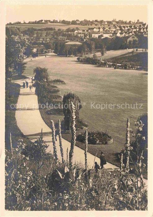 Reichsgartenschau 1939 STUTTGART Koenigskerzenhang Tal der Rosen