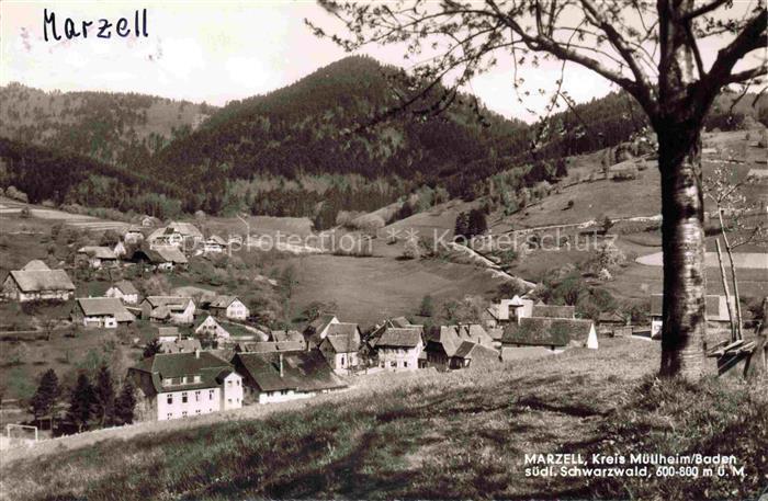Marzell Malsburg-Marzell Kandern BW Panorama Gasthof Sonne