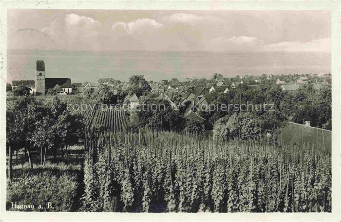 Hagnau Bodensee Panorama