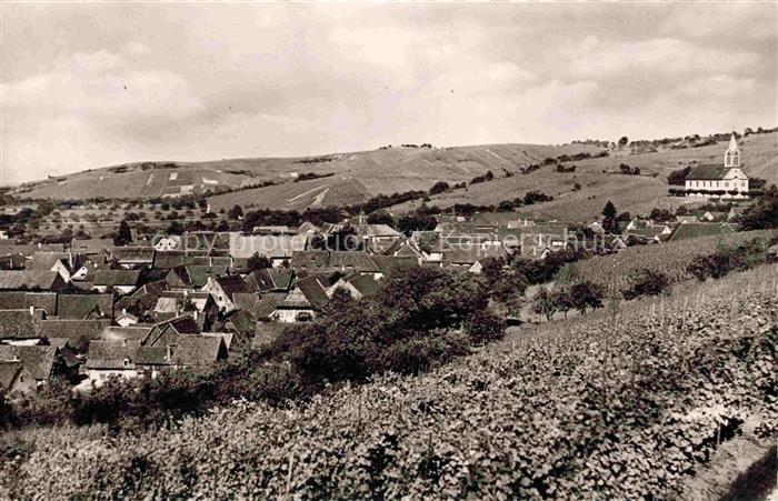 Auggen Gasthaus zur Krone Panorama