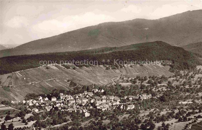 Muellheim Baden BW Panorama mit Feldberg
