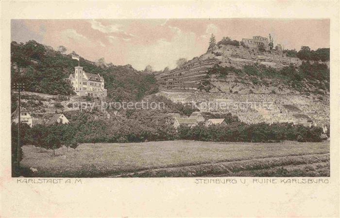 Karlstadt Main-Spessart Bayern Steinburg und Ruine Karlsburg