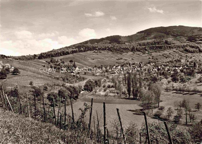 Feldberg 1450m Schwarzwald Markgraeflerland