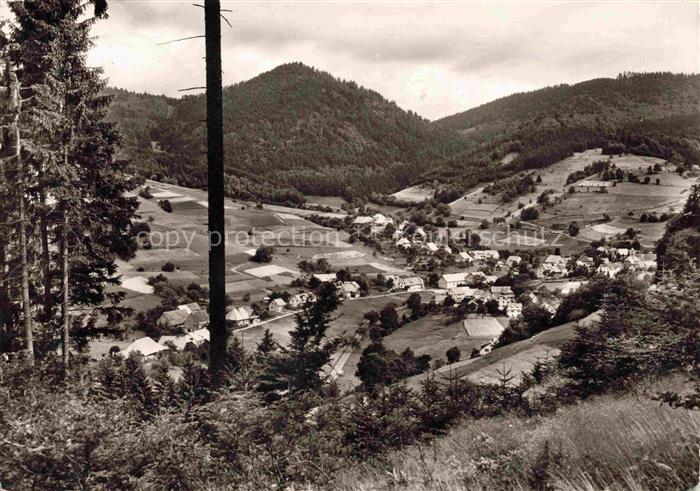 Marzell Malsburg-Marzell Kandern BW Panorama Genesungsheim Sonne