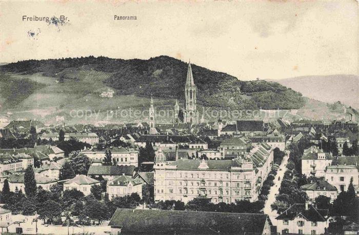 FREIBURG Breisgau BW Panorama Blick zum Muenster