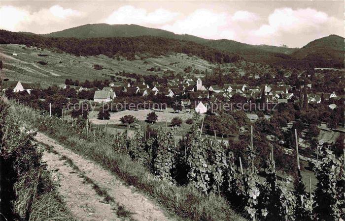 Muellheim Baden BW Panorama Blick zum Feldberg