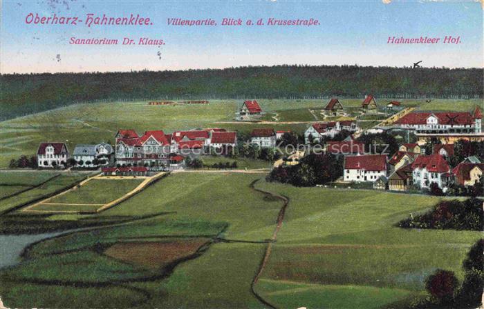 Hahnenklee-Bockswiese Harz Panorama mit Villenpartie Krusenstrasse Sanatorium D