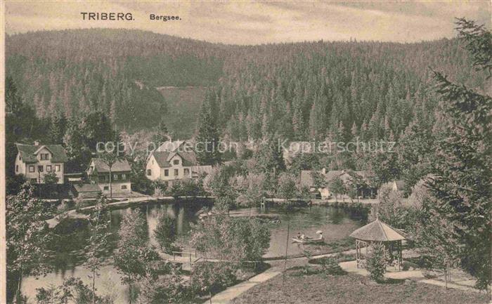 Triberg Schwarzwald BW Panorama Bergsee