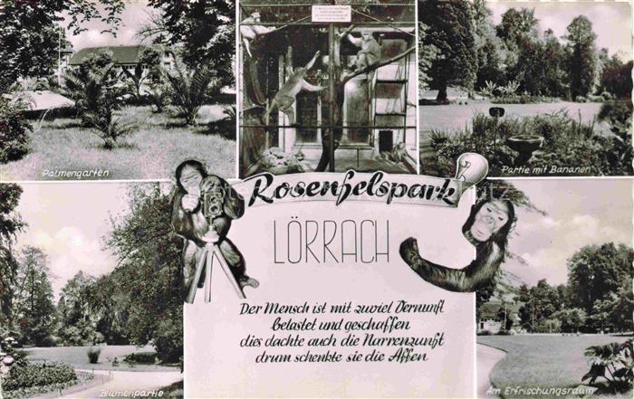 LoeRRACH Baden BW Rosenfelspark Palmengarten Partie mit Bananen Parkanlagen