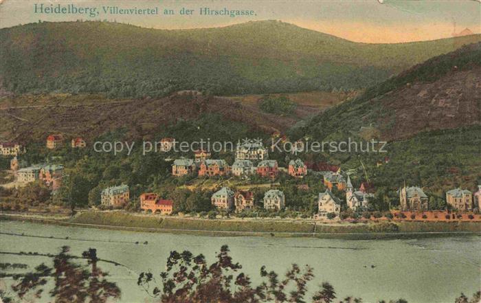 HEIDELBERG  Neckar Panorama Villenviertel an der Hirschgasse Blick ueber den Nec