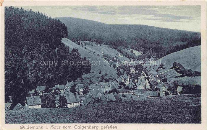 Wildemann Harz Panorama Blick vom Galgenberg