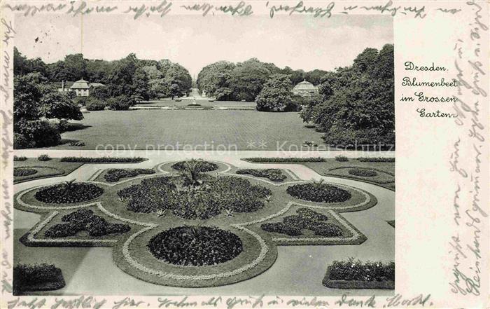DRESDEN Elbe Blumenbeet im Grossen Garten