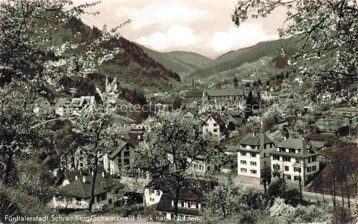 Schramberg BW Panorama Fuenftaelerstadt im Schwarzwald Baumbluete