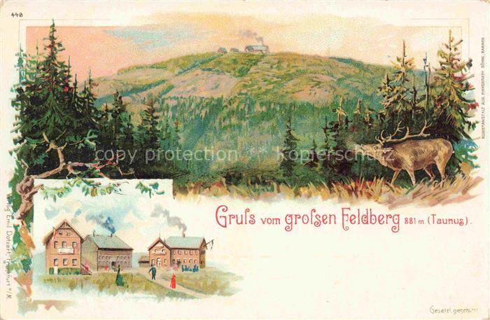 Feldberg 882m Taunus Landschaftspanorama Hirsch Berghotel Kuenstlerkarte