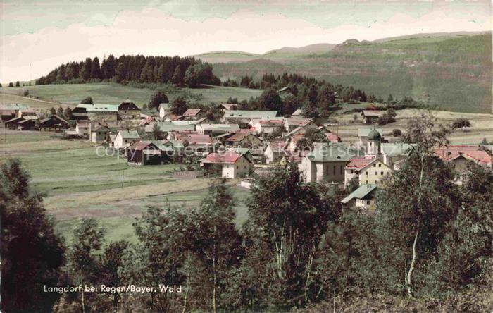 Langdorf Regen Bayern Panorama
