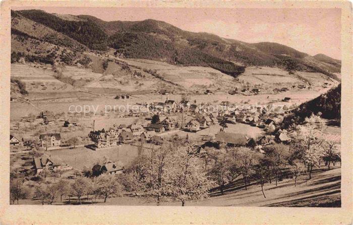 Gutach Schwarzwaldbahn Panorama Kupfertiefdruck