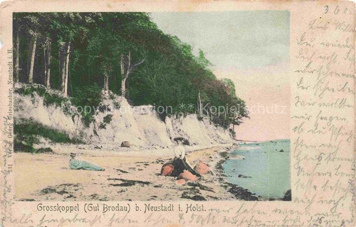 Grosskoppel Brodau Ostholstein Schleswig-Holstein Partie am Strand
