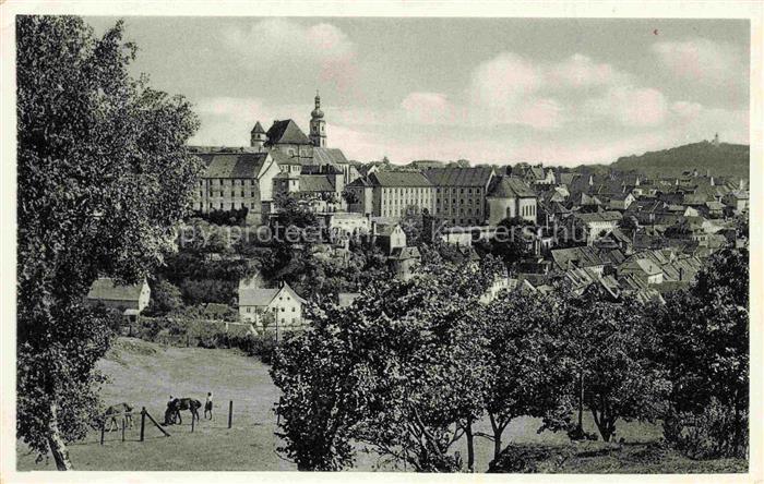 Sulzbach-Rosenberg Bayern Panorama