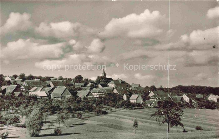 Durbach Schwarzwald Offenburg Panorama