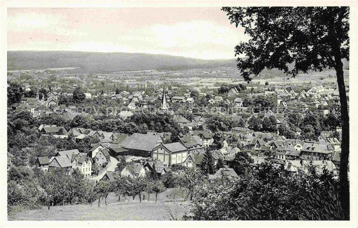 Erbach Odenwald Stadtpanorama