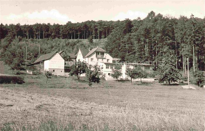 Weiten-Gesaess Michelstadt Odenwaldkreis Hessen Pension Waldfriede