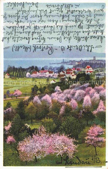 LINDAU  Bodensee Bayern Panorama Baumbluete