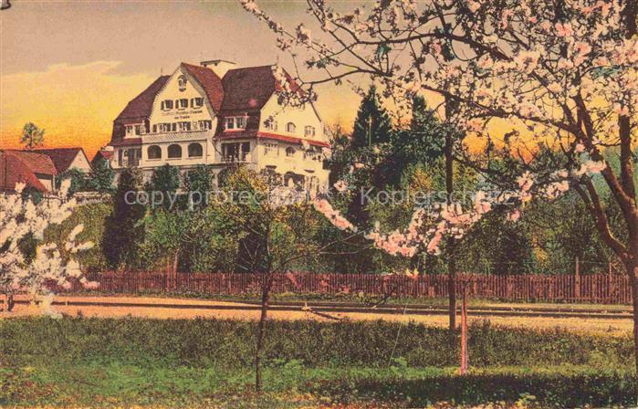 Enzisweiler Bodensee Bayern Hotel Pension Traub Baumbluete