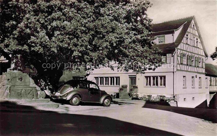 Neunkirchen Odenwald Hoehengasthof Pension Zum gruenen Baum