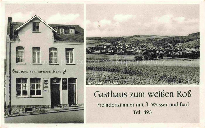Dalheim Taunus Sankt Goarshausen Rheinland-Pfalz Gasthaus zum weissen Ross Panor