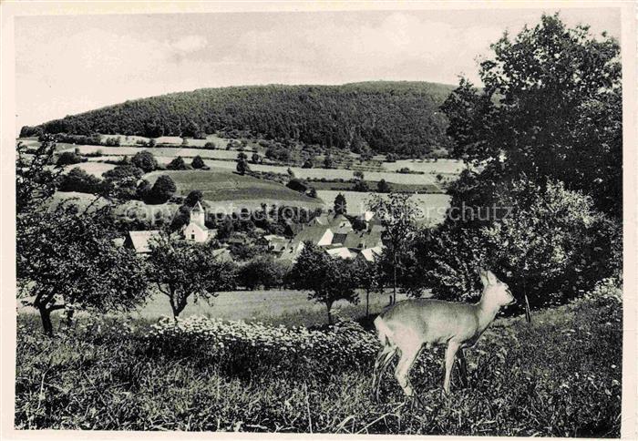 Weickersgrueben Main Graefendorf Bayern Ortsansicht mit Kirche Reh Gasthaus Pens