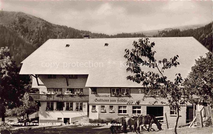 Feldberg 1450m Schwarzwald Gasthaus zum Feldsee Raimartihof