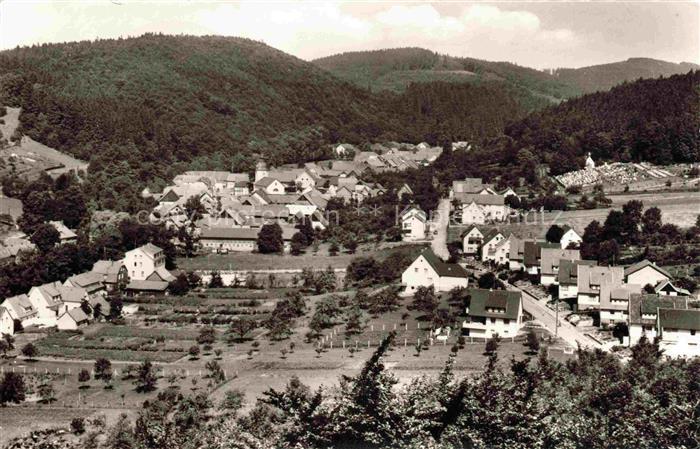 Steina Bad Sachsa Suedharz Panorama Luftkurort Sommerfrische