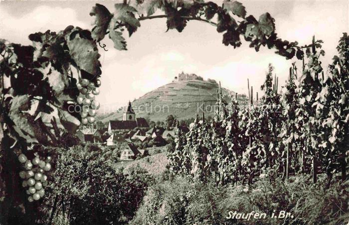 Staufen  Breisgau Blick durch die Weinberge zur Burg