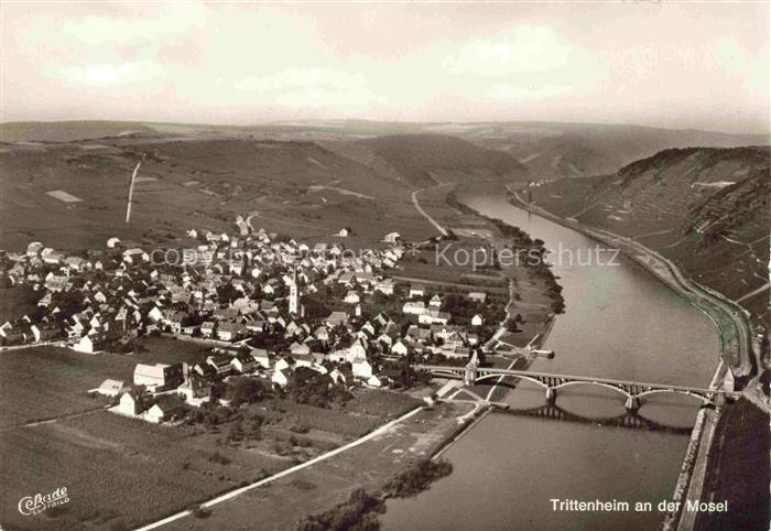 Trittenheim Mosel Neumagen-Dhron Rheinland-Pfalz Panorama Moseltal