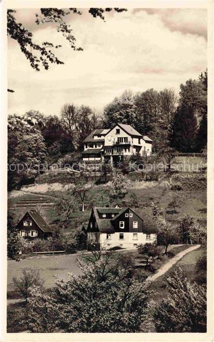 Lindenfels Odenwald Hessen Haus Luginsland Weinklause Buecherstube Fremdenheim