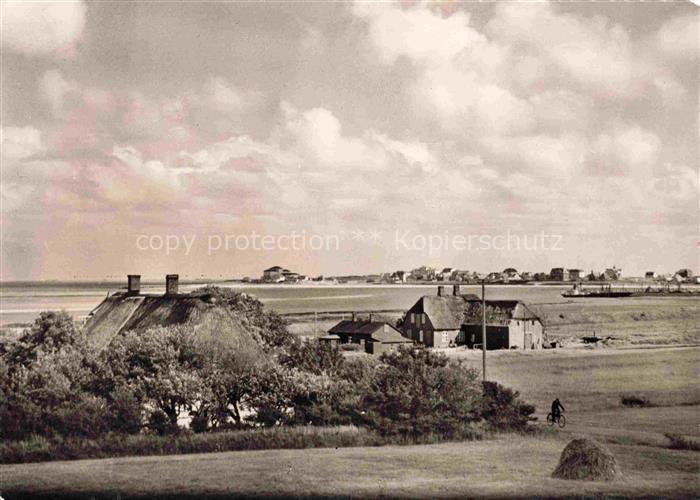 Stenodde WITTDueN Amrum Panorama Blick auf Wittduen