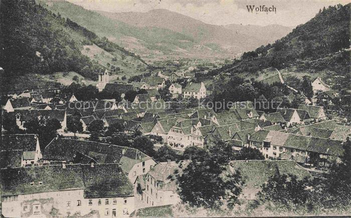 Wolfach Schwarzwald Panorama