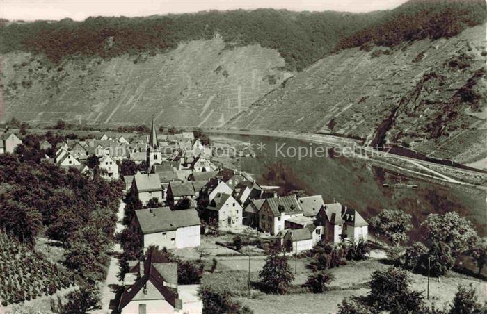 Briedern Cochem-Zell Rheinland-Pfalz Panorama Moseltal Weinberge