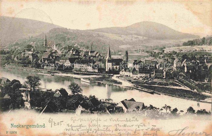 Neckargemuend Panorama