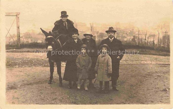 Koenigswinter Rhein mit dem Esel am Drachenfels