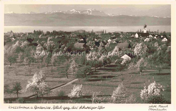 Kressbronn Bodensee Panorama Blick gegen das Schweizer Ufer Schweizer Alpen